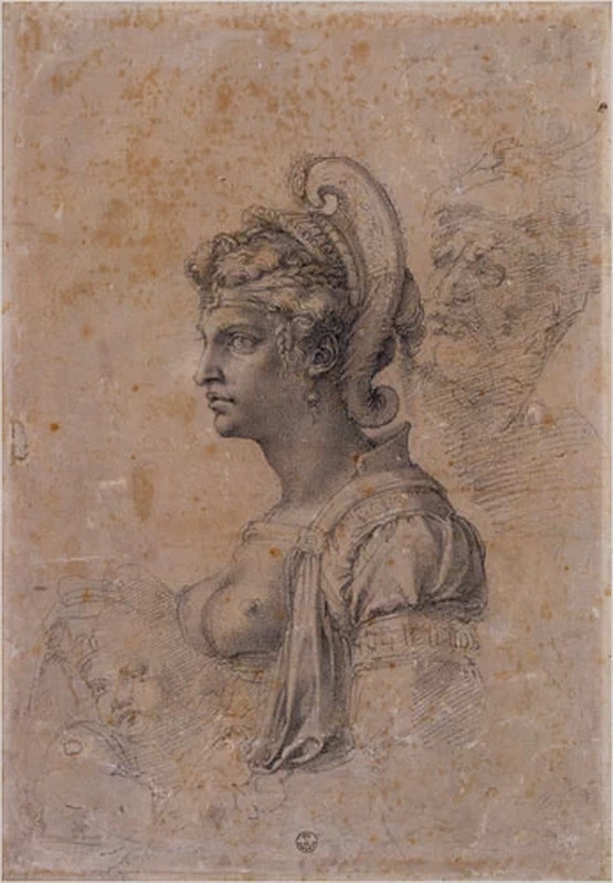 Studio di busto di donna